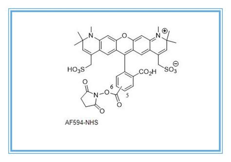 鲜红色染料af594 Nhs Ester，af 594 Nhs活化酯，用于细胞标记 哔哩哔哩