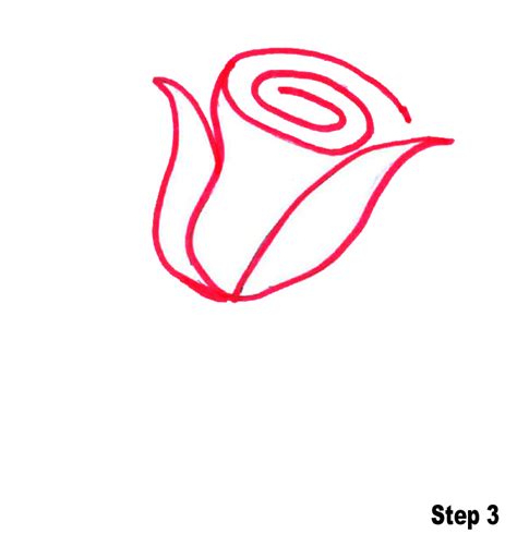 Free Rose Cartoon Drawing, Download Free Rose Cartoon Drawing png ...