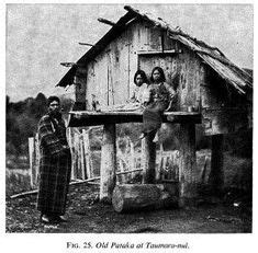 15 TAUMARUNUI ideas | nz history, new zealand, maori people