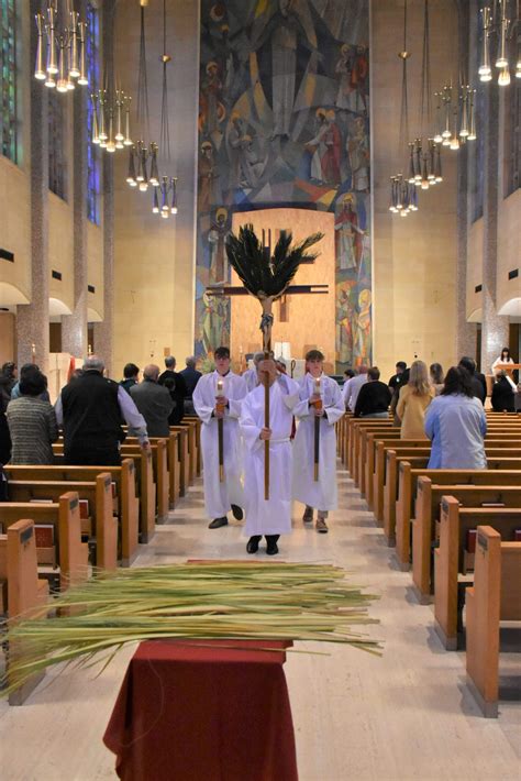 Palm Sunday At St Columba Cathedral The Catholic Echo