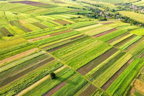 Vista Aérea De Campos Agrícolas Verdes En Primavera Con Vegetación