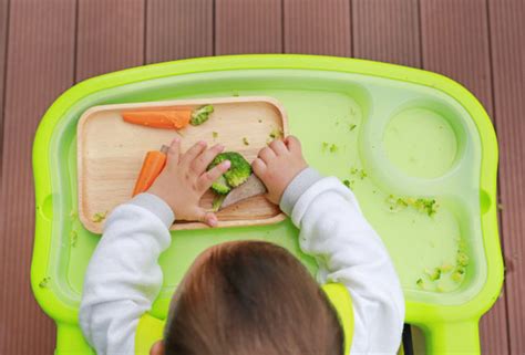 M Todo Blw Entenda O Baby Led Weaning