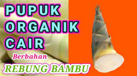 PUPUK ORGANIK CAIR MOL REBUNG BAMBU YouTube