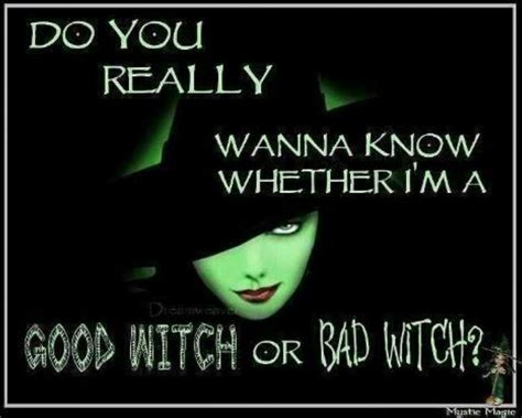 Funny Witch Quotes For Halloween - ShortQuotes.cc