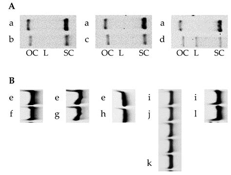 Stability Of Naked Nucleic Acids Under Physical Treatment And Powder Formation Suitability For