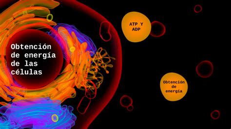 Obtención de energía de las células by Pablo A Méndez on Prezi