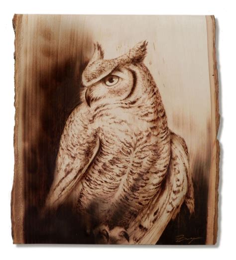 Wood Burned Owl By Dennis Franzen Pyrography Art Wood Burning Art