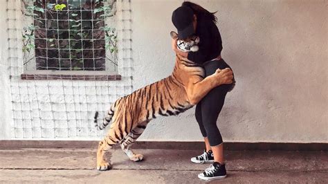 Incredible Reunions Animals Reunited With Their Owners After Years