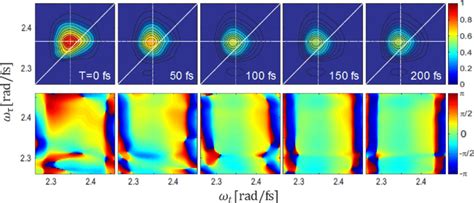 Heterodyned Photon Echo Signal For Five Different Population Times On