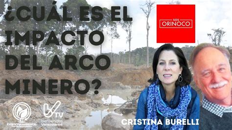 Cu L Es El Impacto Del Arco Minero Explicado Por Cristina Burelli De