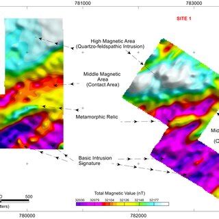 Reduced magnetic field map to equator. | Download Scientific Diagram