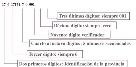 Qué es el RUC Registro Único de Contribuyentes 2024