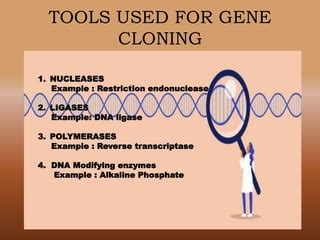 Gene cloning | PPT | Free Download