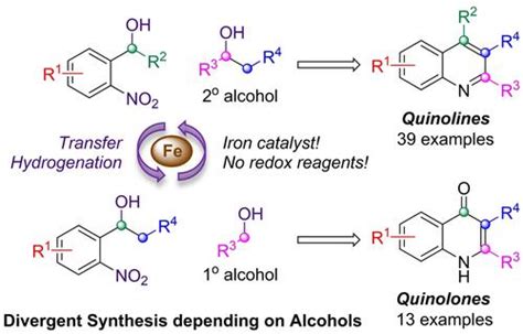 铁催化转移氢化：由邻硝基苯甲醇发散合成喹啉和喹诺酮类化合物advanced Synthesis And Catalysis X Mol