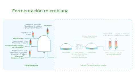 Fermentaci N Microbiana Gesfilter