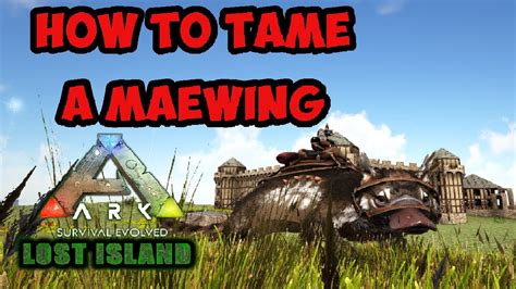 Ark Survival Evolved How To Tame A Maewing On The Lost Island Youtube