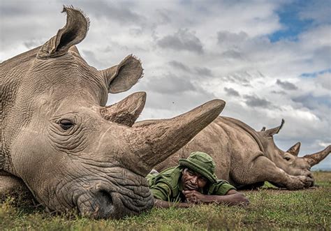 50 Famous Wildlife Photographers To Follow