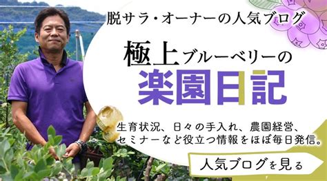 「最強の農起業！」脱サラ農業・極上ブルーベリーの楽園日記 ～好きな仕事があなたの人生を変える～