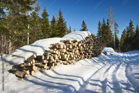 Tas De Bois Sous La Neige Photos Adobe Stock