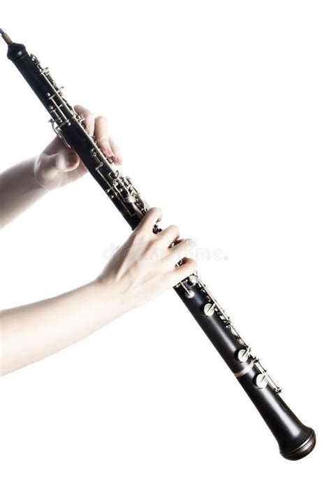 Oboe On White Background Stock Image Image Of Classic 37634543