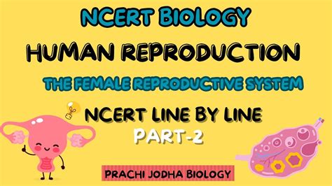 Female Reproductive System Ncert Review Ncert Line To Line Neet