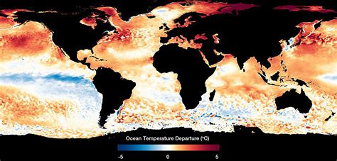 Frontiers Impacts Of Marine Heat Extremes On Bivalves