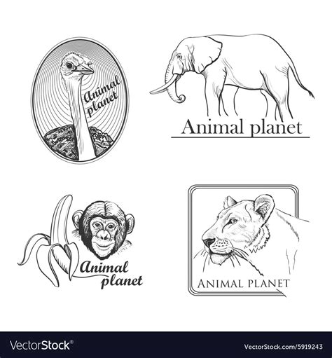 Animal Planet Logo Vector