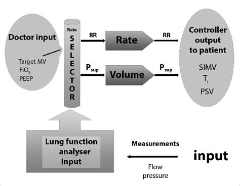 ASV Technology Target Minute Volume MV FiO 2 And PEEP Are Set And