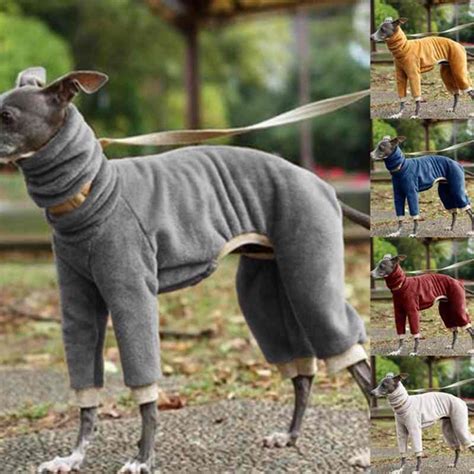 Italian Greyhound Winter Coats Tradingbasis