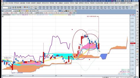 멤버십 중급강의 일목균형표 14강일목균형표볼린저밴드 응용매매법 Youtube