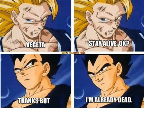 Dbz Vegeta Memes