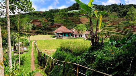 Tiga Rumah Di Tengah Sawah Bikin Betah Ngabuburit Kampung Cisangling