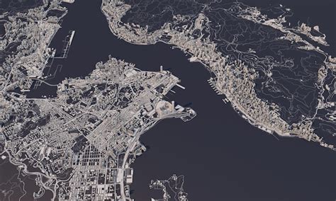 Mapa De La Ciudad De Hong Kong D Renderizado Vista Satelital A Rea