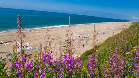 Beaches of Alaska | Travel Alaska