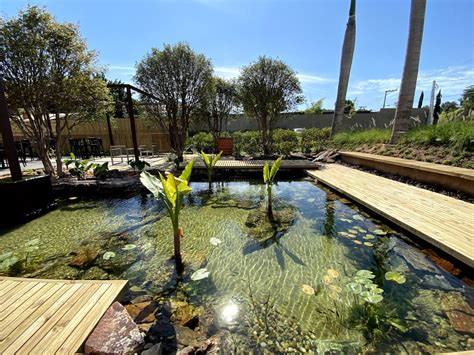 Como Montar Um Lago Ornamental Parte Escola De Aqu Rio