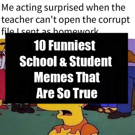 10 Funniest School & Student Memes That Are So True