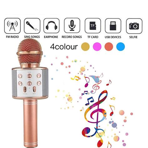 Dwtd Professional Ws Handheld Ktv Microphone Portable Wireless