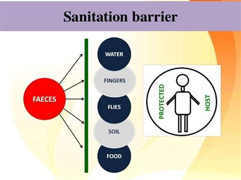 Disposal Of Excreta