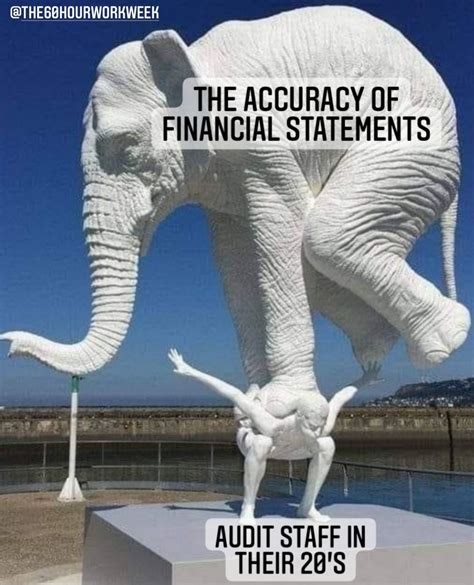 Pin On Accounting Memes