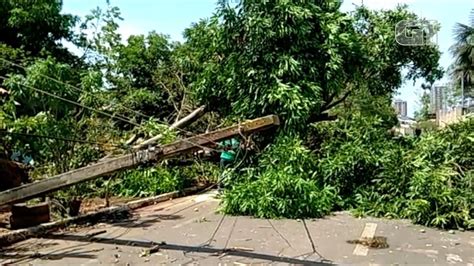 Árvore cai durante chuva forte derruba postes e deixa moradores sem