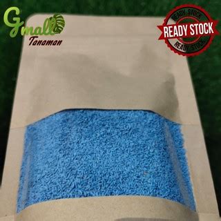 Jual Benih Rumput Bermuda Grass Kg Biji Rumput Golf Import Grass Seed