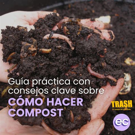 Guía práctica para el reciclado Compost Escritura Crónica