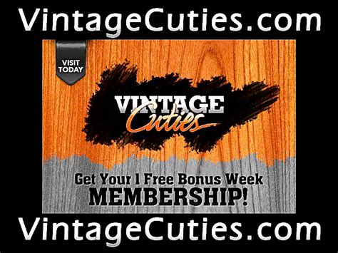 Free Vintage Cunt Porn Videos XHamster