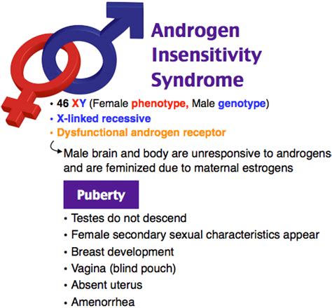 Androgen Insensitivity Syndrome Testicular Femininization Androgen