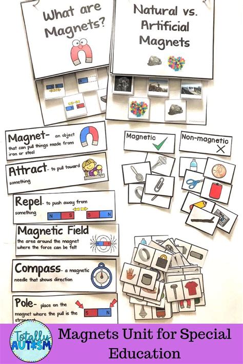 Magnetic Field Examples Neco