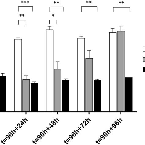 Relative Metabolic Activity After Media Refreshment After H Of