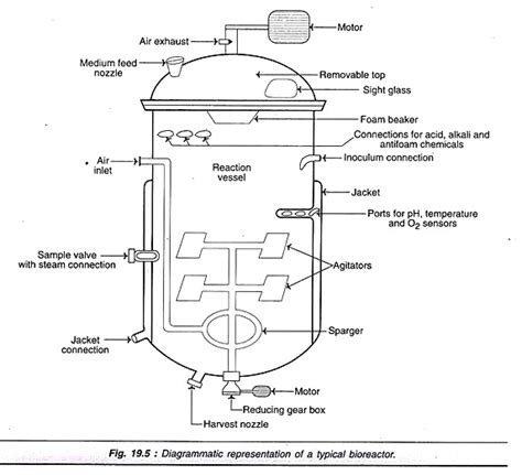 Conventional Bioreactor Features And Operations