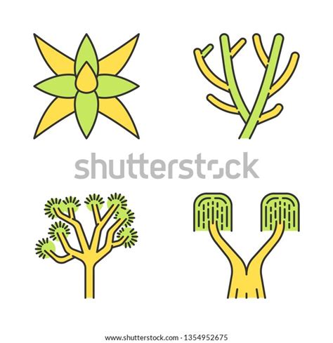 Desert Plants Color Icons Set Exotic Stock Vector Royalty Free