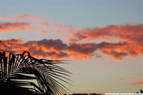 MalibuStrings Bikini Competition Gina Gallery 2