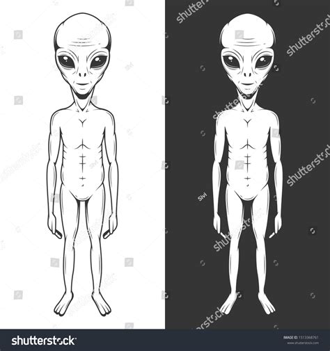 Grey Alien Full Body